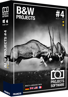 Cover: Black & White projects 4