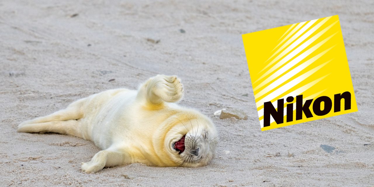 Nikon präsentiert eine Auswahl von Einsendungen für den Comedy Wildlife Awards 2024