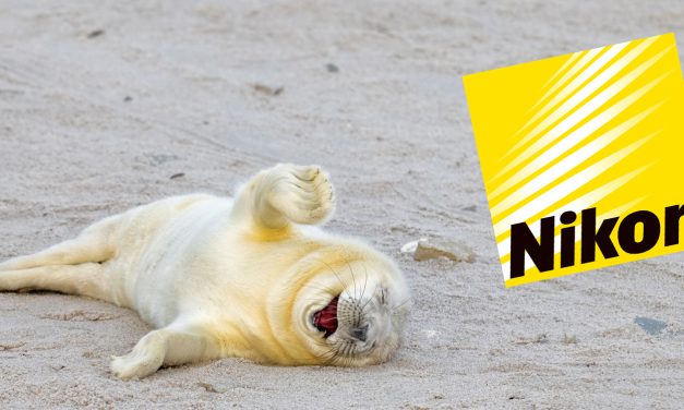 Nikon präsentiert eine Auswahl von Einsendungen für den Comedy Wildlife Awards 2024